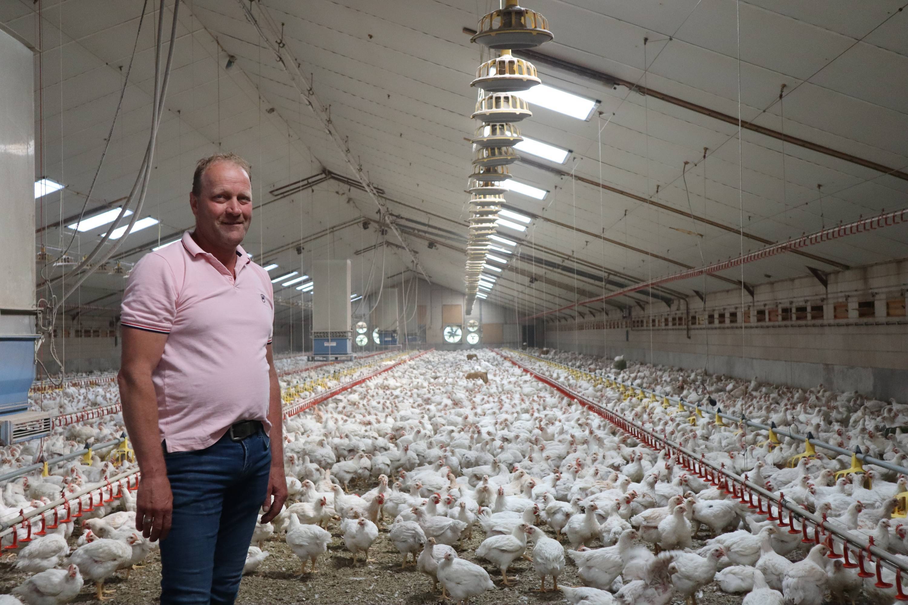 Reportage: Mehr Licht nach Dachsanierung des Geflügelstalls